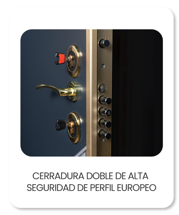 Puerta Cabma Thor 20 plus